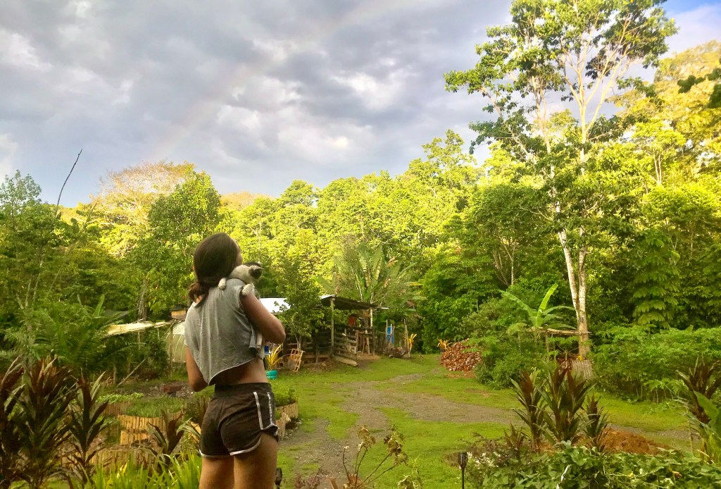 Follow me from Surfer Town Santa Teresa to the Caribbean Coast of Puerto Viejo, Costa&nbsp;Rica